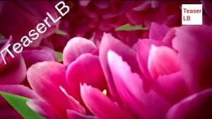 Реклама Коркунов - Весна 2015