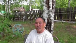 Бомнакские лайки эвенка оленевода Паши Трифонова