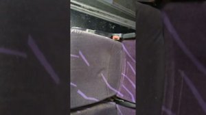 Сиденья туристического автобуса