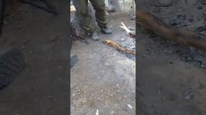 Река вежма