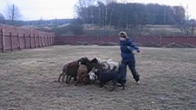 Moskva, XI.09 048.avi смотреть онлайн