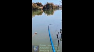 Рыбалка. Ну, дед.