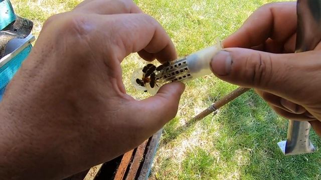 Как сделать отводок пчёл очень простой способ! Матки Бакфаст В35 мои племенные ф1 уже вывелись! смотреть онлайн