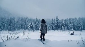 🎹🎶"Белым снегом" гармонь Наталенко Владимир Павлович /Новосибирск