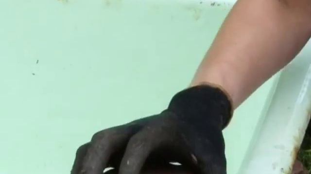Ландшафтный дизайн. Водоём в пейзажном стиле. ч. 1. Ведущая - Юля Шатерник
