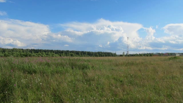 Русское поле