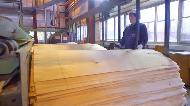Как производится березовая фанера ФК? смотреть онлайн