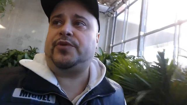 Best Plants at home for producing oxygen !