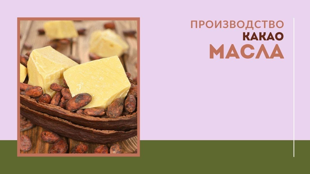 Процесс производства какао-масла