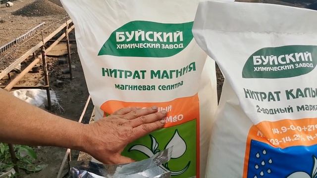 Как ИЗБАВИТЬСЯ от ВЕРШИННОЙ Гнили на Помидорах , Болезни томатов в закрытом грунте