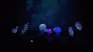 Гран-при Световое шоу Гомель JOY GOFL 2018 Light-show