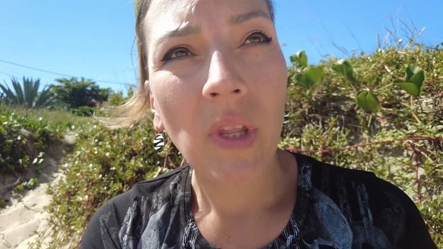 Питбуль напал на детей / Pitbull ataca crianças смотреть онлайн