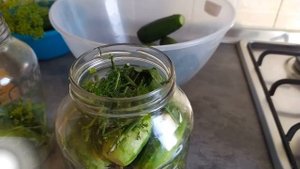 Малосольные огурцы на газированной воде и Что приготовить из патиссонов English Slang Lingual Cook