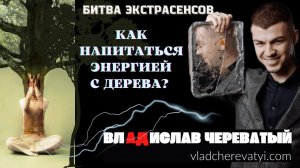 Как напитаться энергией с дерева? #владчереватый #битваэкстрасенсов23сезон