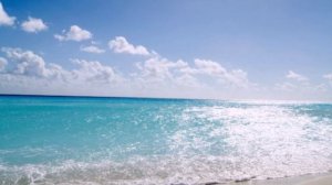 Константин Никольский - Птицы белые мои