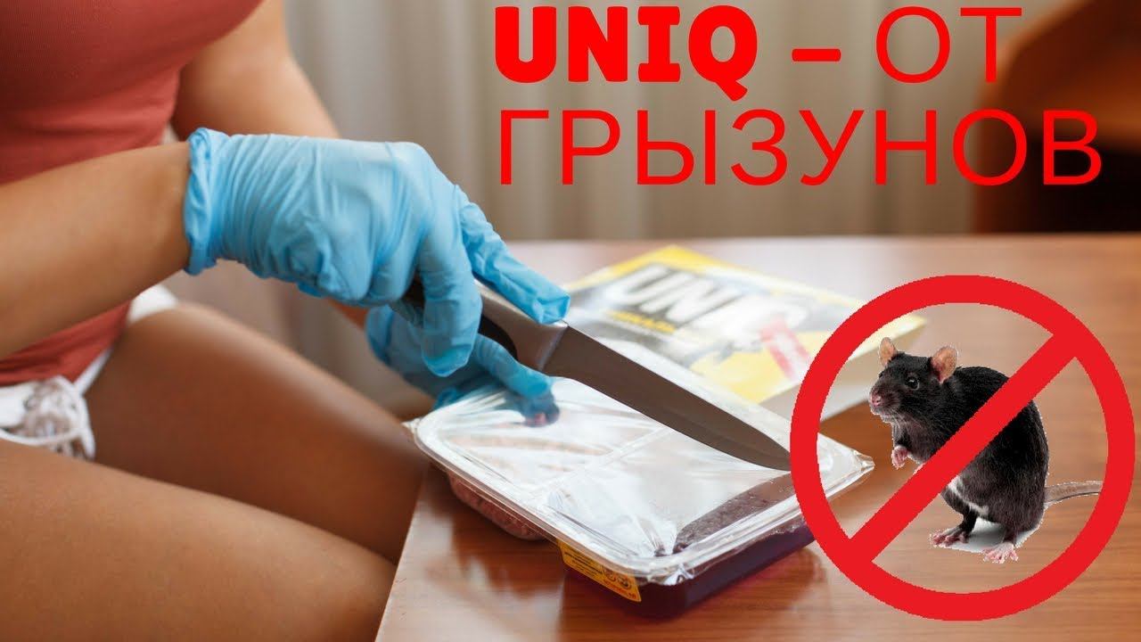 Приманка убивающая крыс и мышей. Избавиться от мух на даче смотреть онлайн