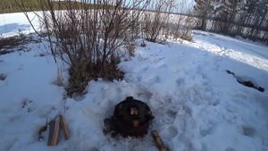 Подледная рыбалка в Седаново. Усть Илимское водохранилище. Наловили окуня. Сварили уху !!!
