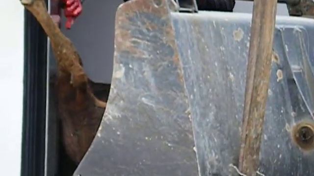 После корриды 1 смотреть онлайн