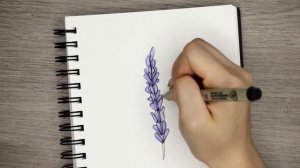 How to Draw Lavender Flowers! | DOODLE WITH ME + Tutorial!