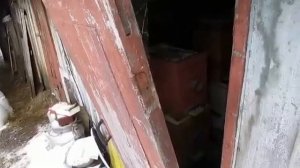 работа с пчелами в феврале, про гибель пчел в феврале и многое другое - часть 1