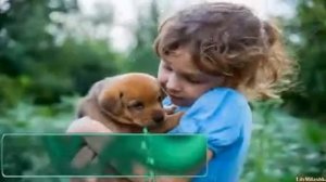 В наше время так не хватает добра и теплых искренных слов...