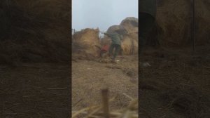 Как одному Загрузить на телегу Рулон сена 300кг