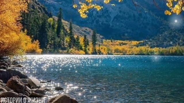 - Да кто ж её такую замуж возьмёт.? - ныл отец.... смотреть онлайн