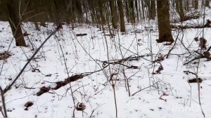 Приветствие на Канали