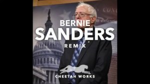 Bernie Sanders Remix