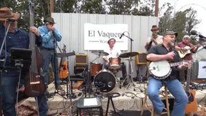 Zoom A1xFour Harmonica Solo Clip: "Hey Mama"