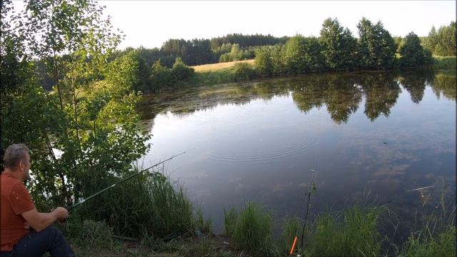 РЫБАЛКА. ЛОВИМ ЖИВЦА НА СУДАКА И СОМА. смотреть онлайн