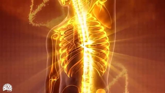 Whole body regenerative pain relief | Music for whole body healing | Good vibes | 528hz смотреть онлайн