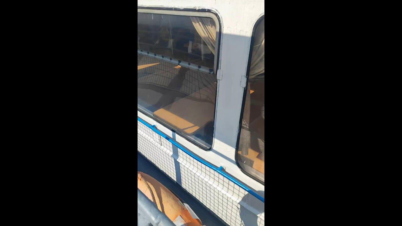 Коп с китайцем в прямом эфире! смотреть онлайн