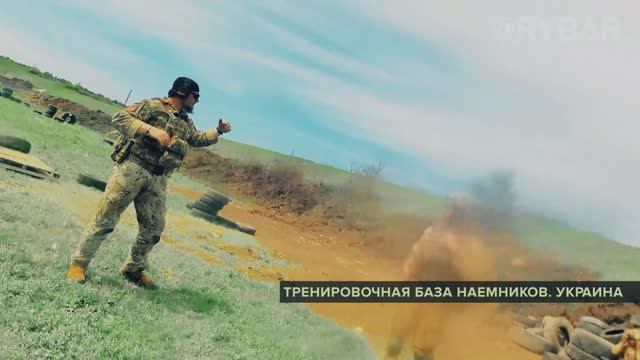 Уничтожение группы иностранных намеников в Запорожской области