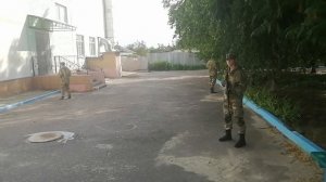 тактико специальная подготовка косичка