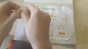 БУМАЖНАЯ ШКОЛА POP #1