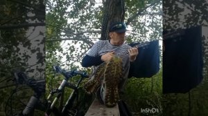 Сектор газа - Колхозный панк (кавер на укулеле)