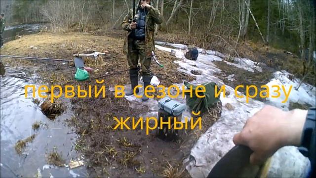 Ленинградская обл. рыбалка- РЕКА СВЯТУХА ТРИ ЛЕЩА ДЕСЯТОК ОКУНЕЙ на поплавочную удочку март 2018 смотреть онлайн