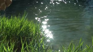 Рыбалка  на реке в Италии