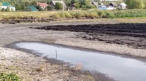 Очистка пруда бульдозером (2)