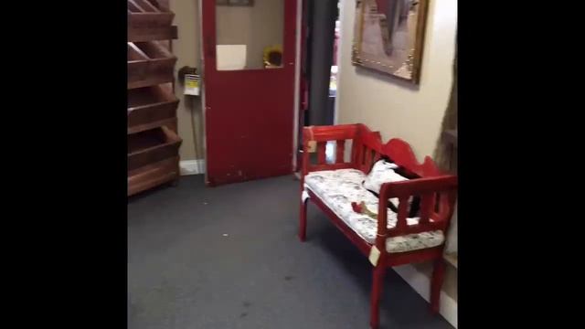 Tin Star Speed Shopping смотреть онлайн