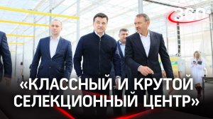 За 100 дней из семечки в экологически чистый овощ: теплицы «Эко-культуры»