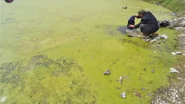 Виды загрязнений окружающей среды.