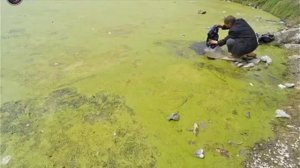 Виды загрязнений окружающей среды.