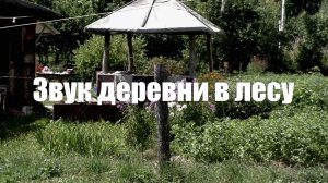 Звуки деревни в лесу для умиротворения и гармонии