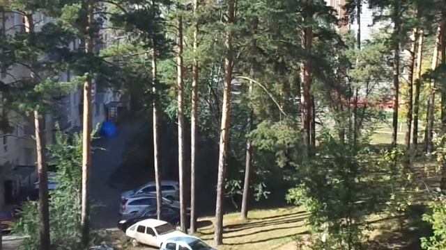 ?SONY DSC W730 Тест ВИДЕО 1280x720x30? смотреть онлайн