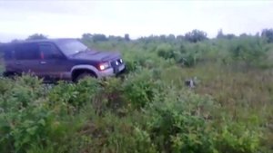 Клуб изусу бигхорн