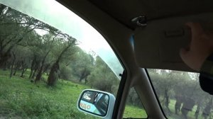 ХОНДА ОДИССЕЙ / XONDA ODYSSEY МИНИВЕН 4x4 1999г ЗА 300 ПОЛНЫЙ ОБЗОР ч. 1 САЛОН