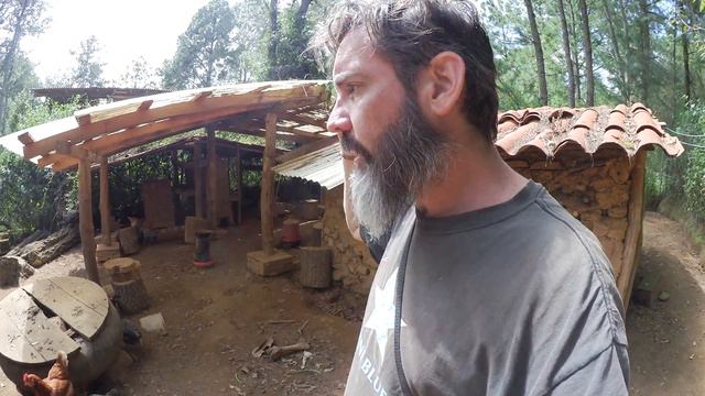 Passiflora fruits and raising dogs with chickens and bones. смотреть онлайн