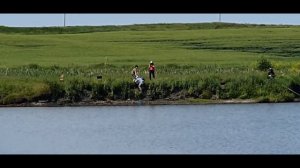 Рыбалка!Так женщины таскают карпов в Ульяновске!